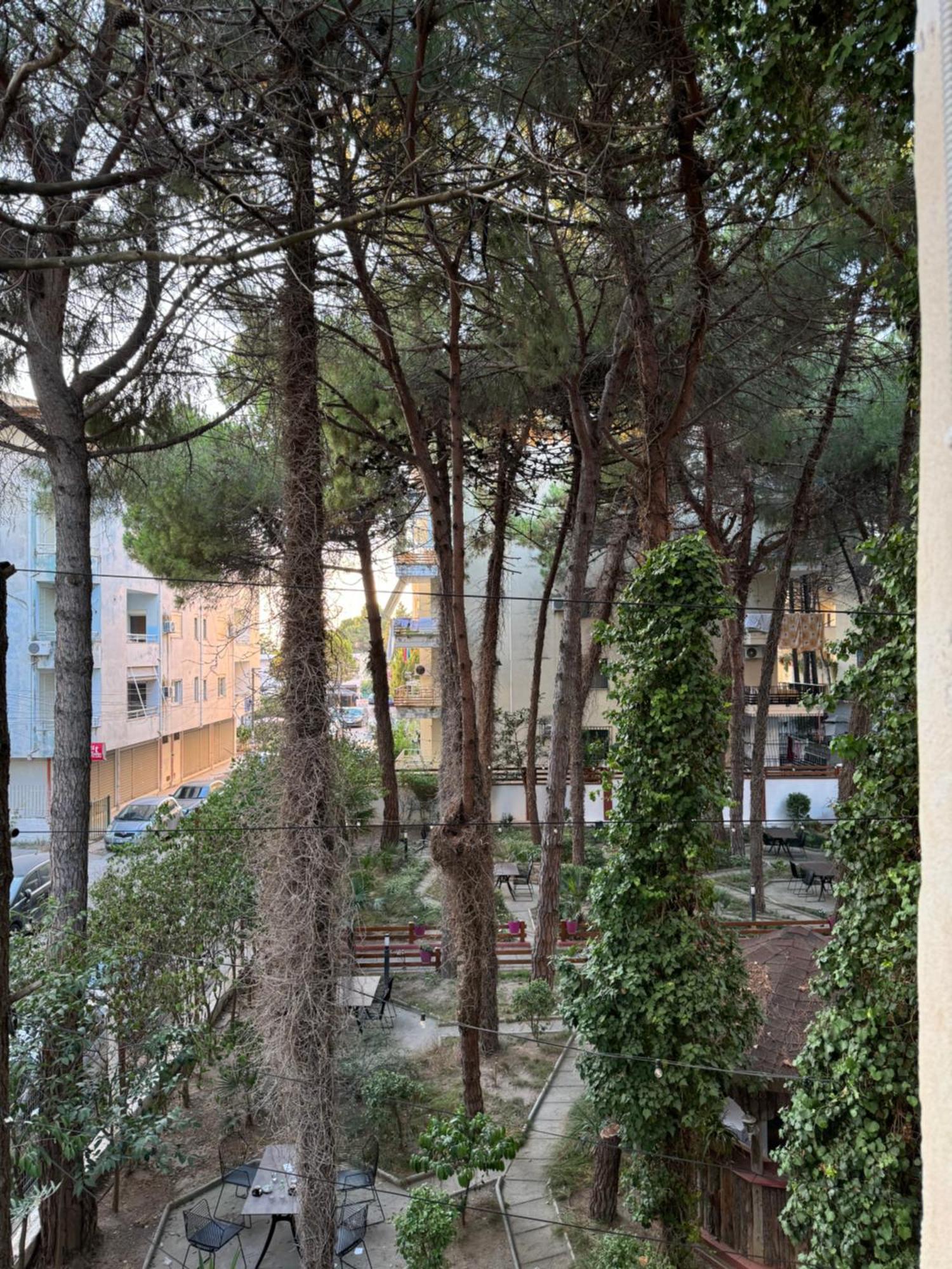 Apartament Jonisapartaments *